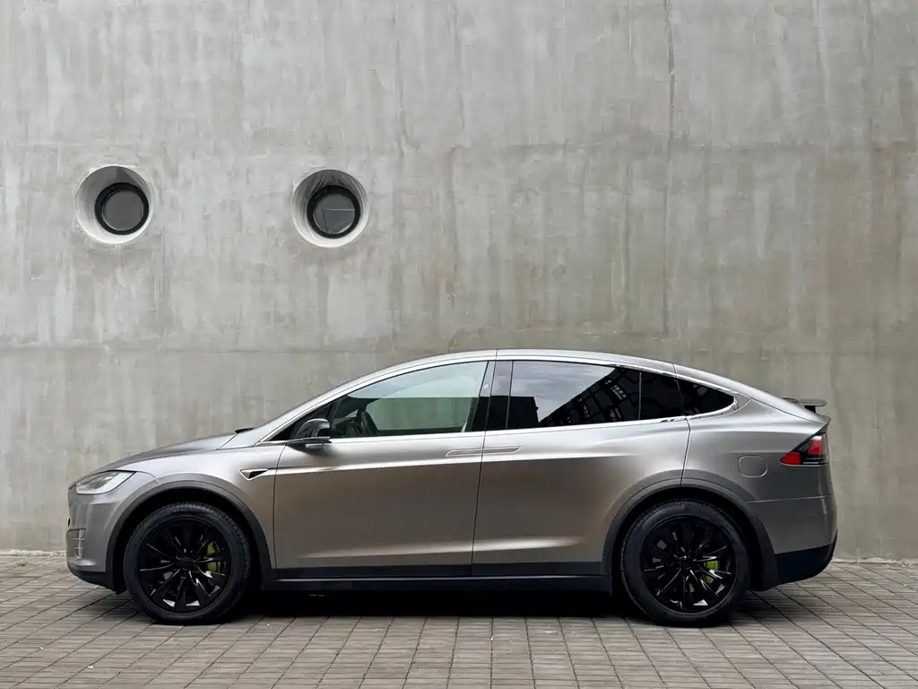 Tesla Model X 2019 — фото 10