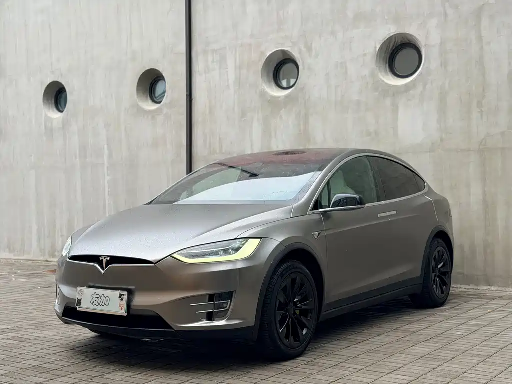 Tesla Model X 2019 — фото 1