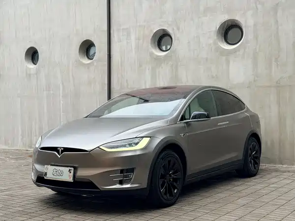 Tesla Model X 2019