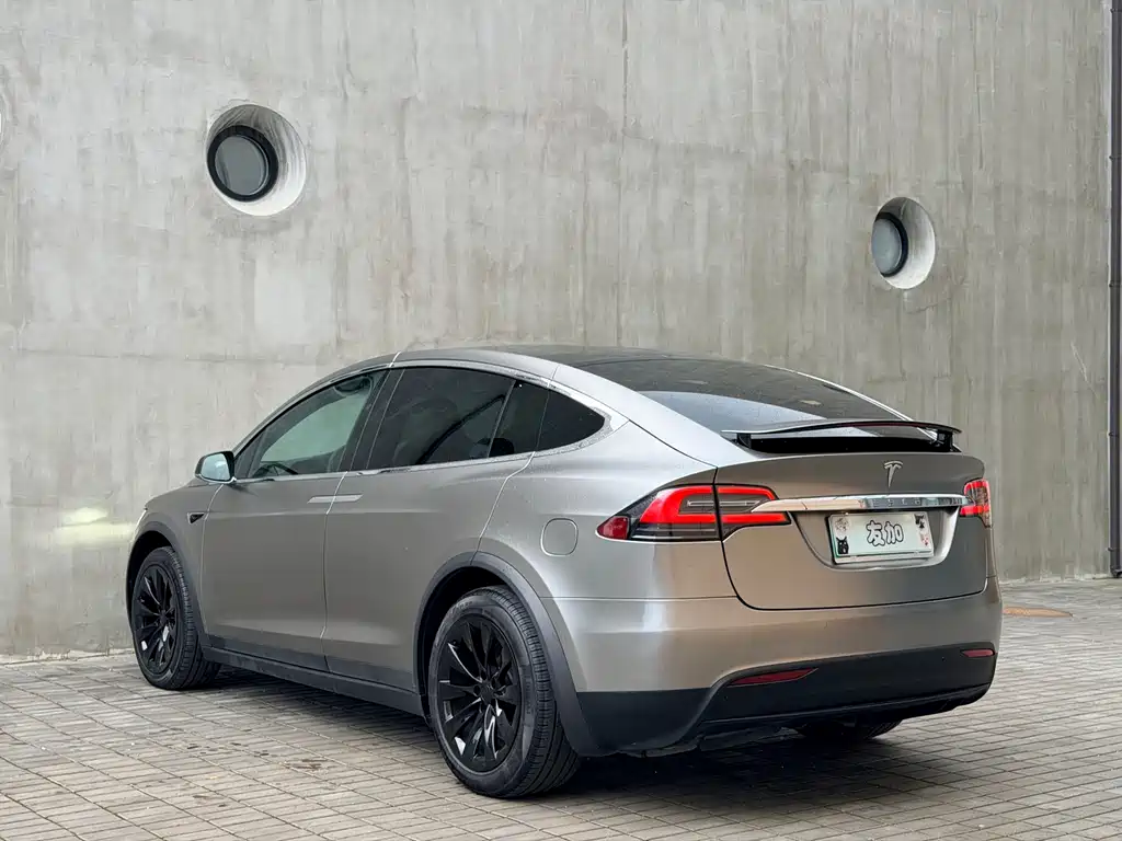 Tesla Model X 2019 — фото 9