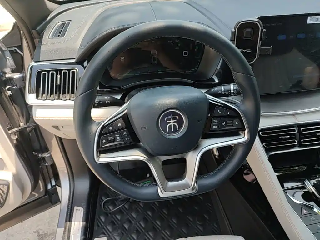 BYD PLUS New Energy 2023 — фото 11