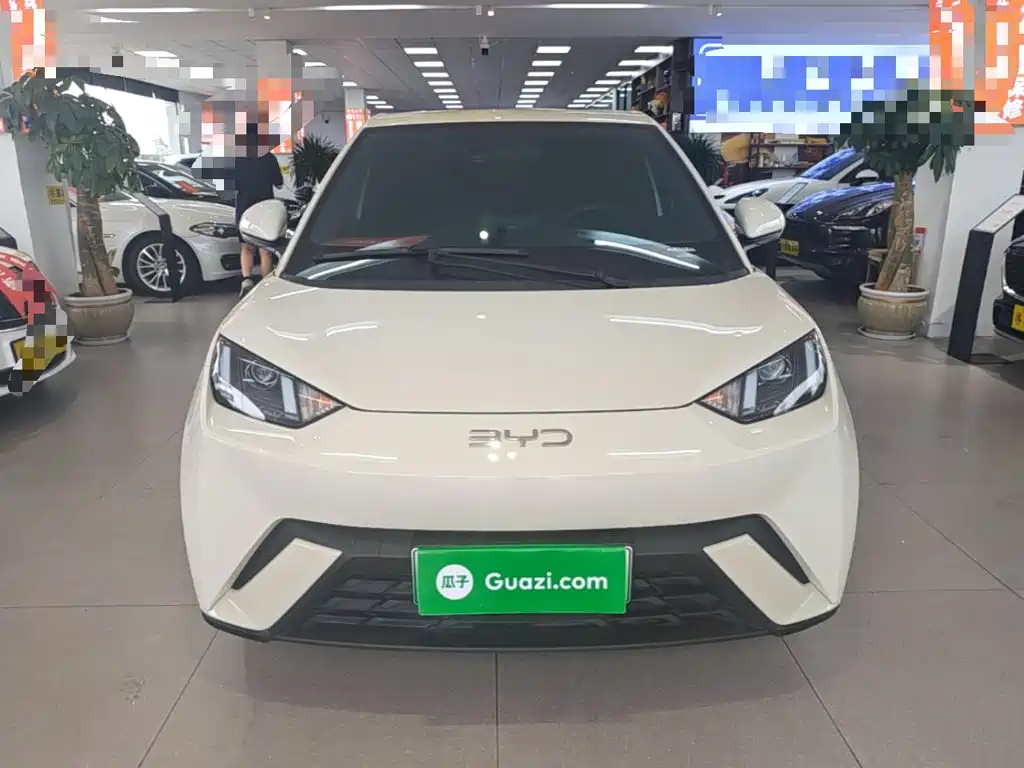 BYD Seagull 2024