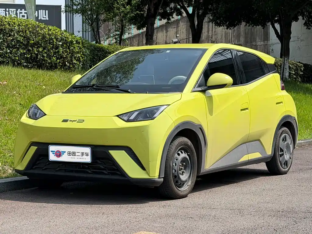 BYD Seagull 2024