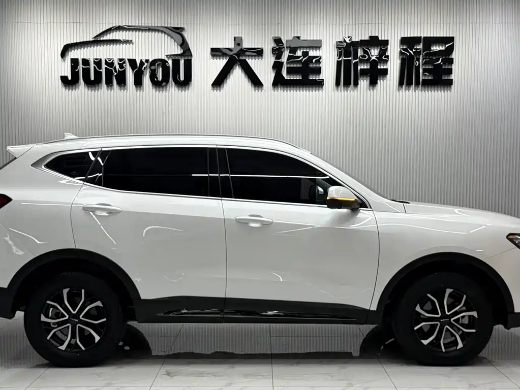 Haval H6 2023 — фото 8