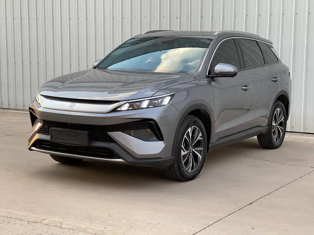 BYD Pro New Energy 2025 — фото 1