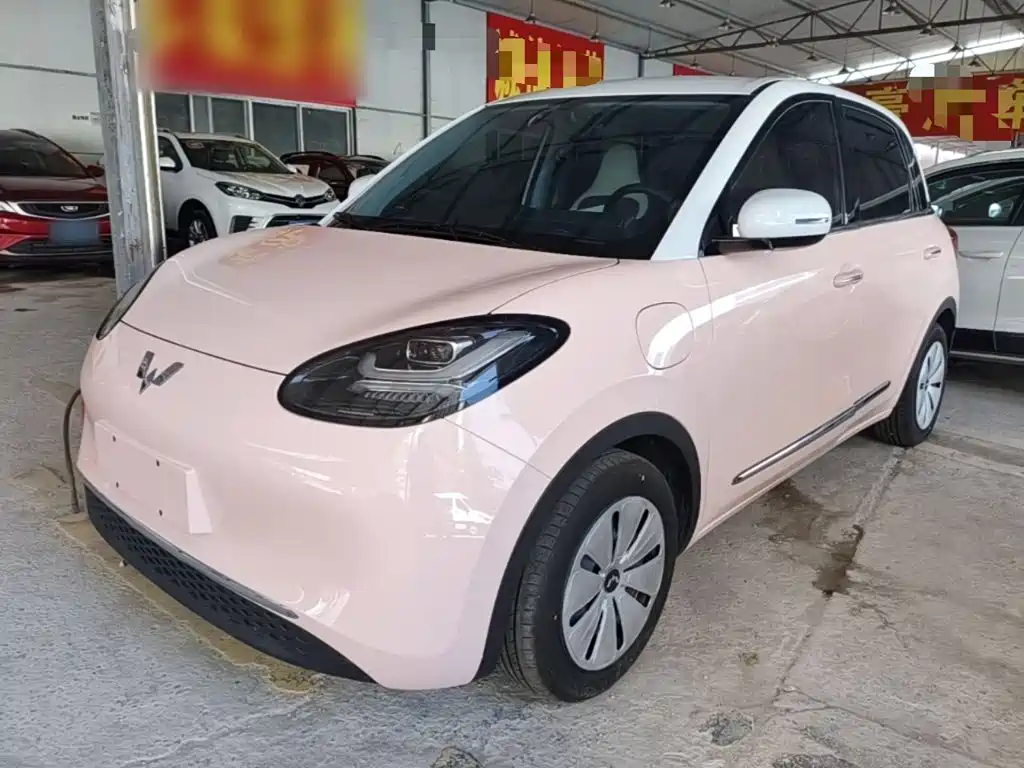 Wuling Bingo 2024