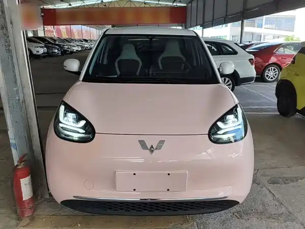 Wuling Bingo 2024