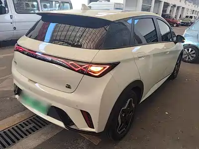 BYD Dolphin 2022