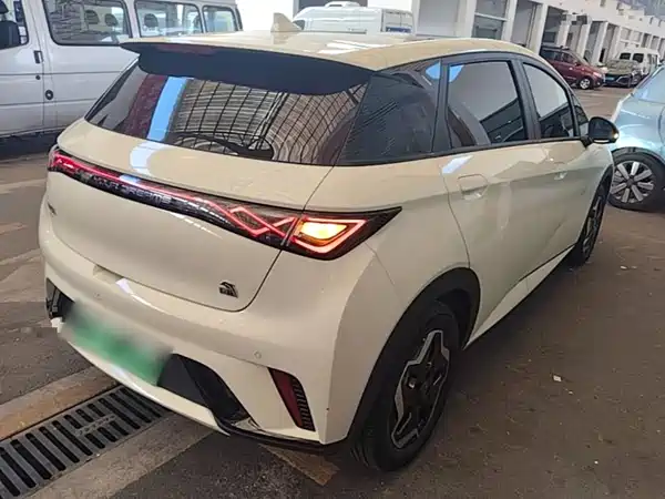 BYD Dolphin 2022