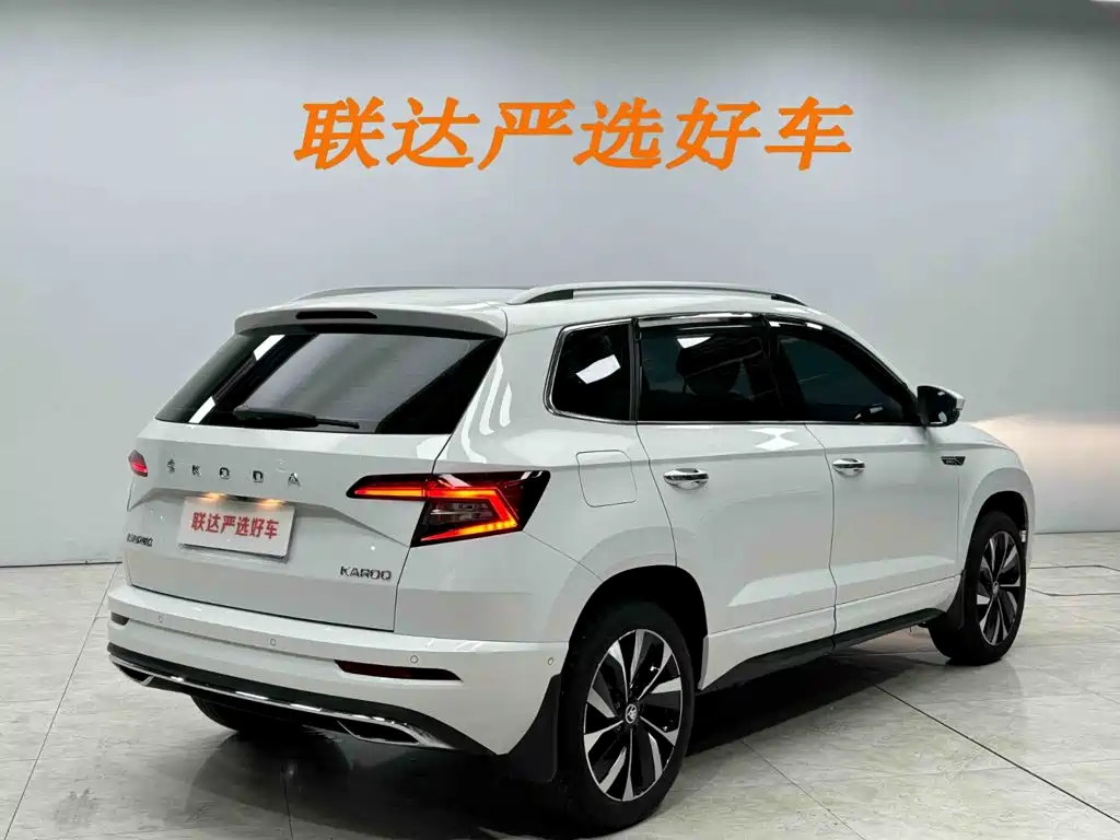 Skoda Karoq 2024 — фото 26