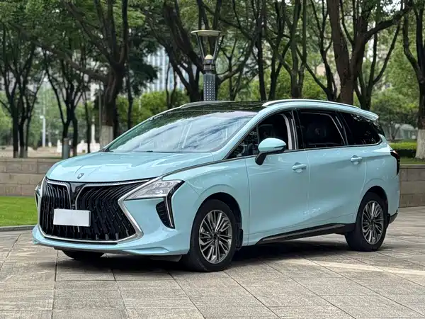 Dongfeng Popular Yacht 2022