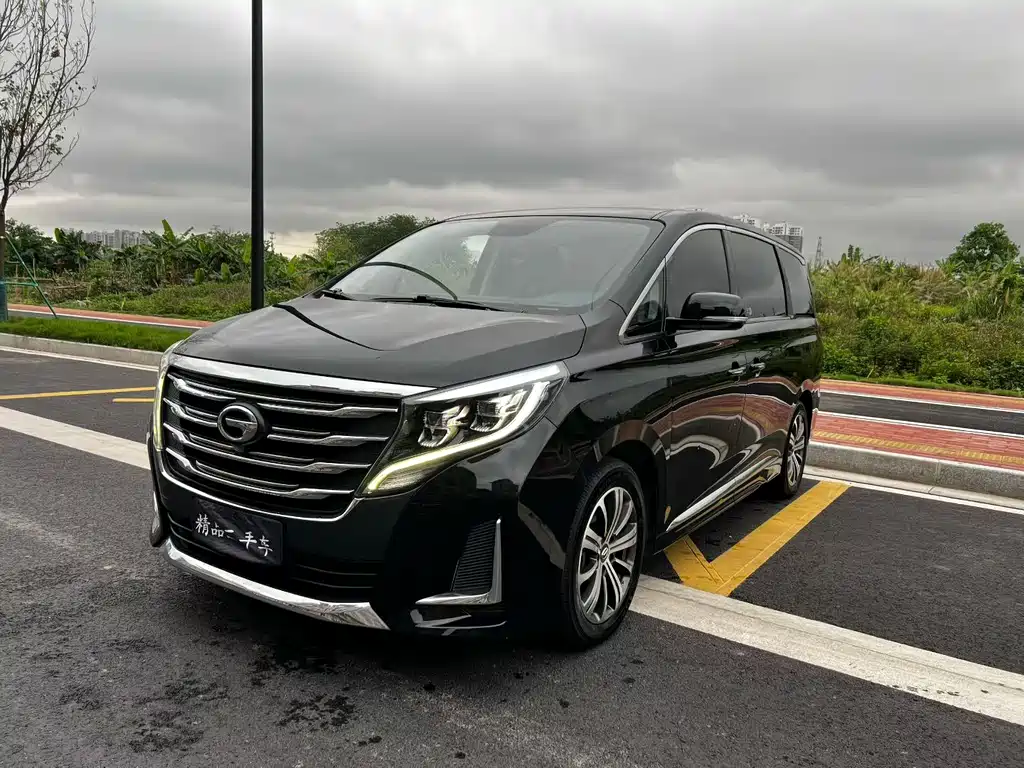 GAC Trumpchi M8 2020 — фото 1