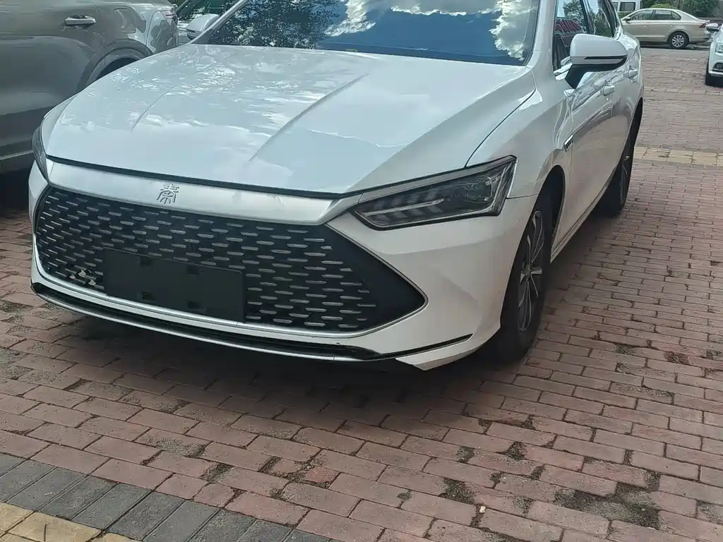 BYD Qin PLUS 2023 — фото 3