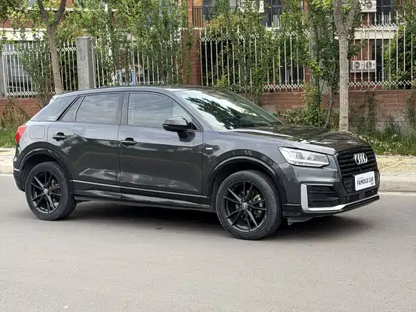 Audi Q2L 2019