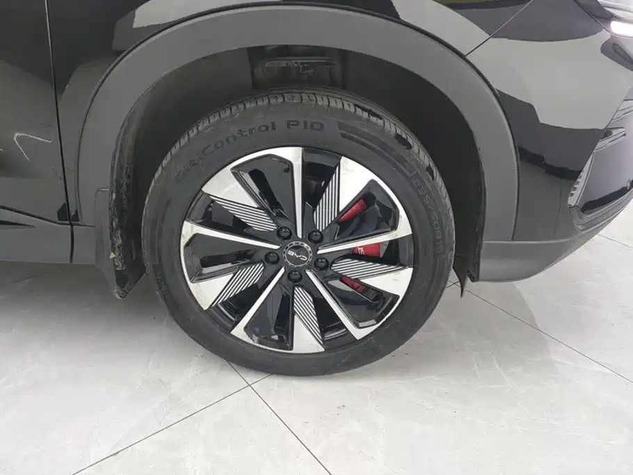 BYD Song PLUS New Energy 2024 — фото 6