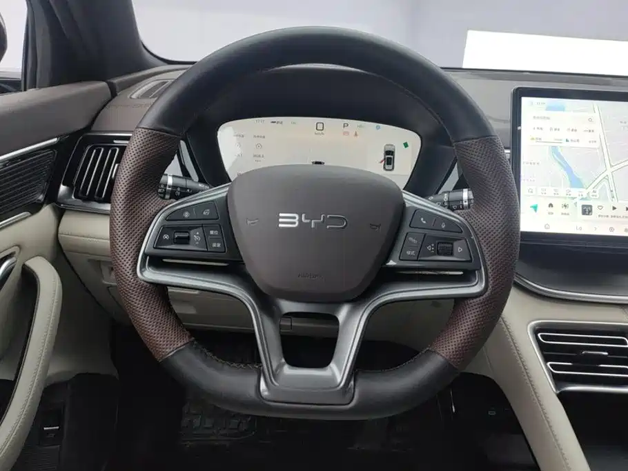 BYD Song PLUS New Energy 2024 — фото 15