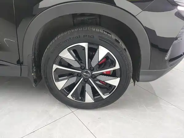 BYD Song PLUS New Energy 2024