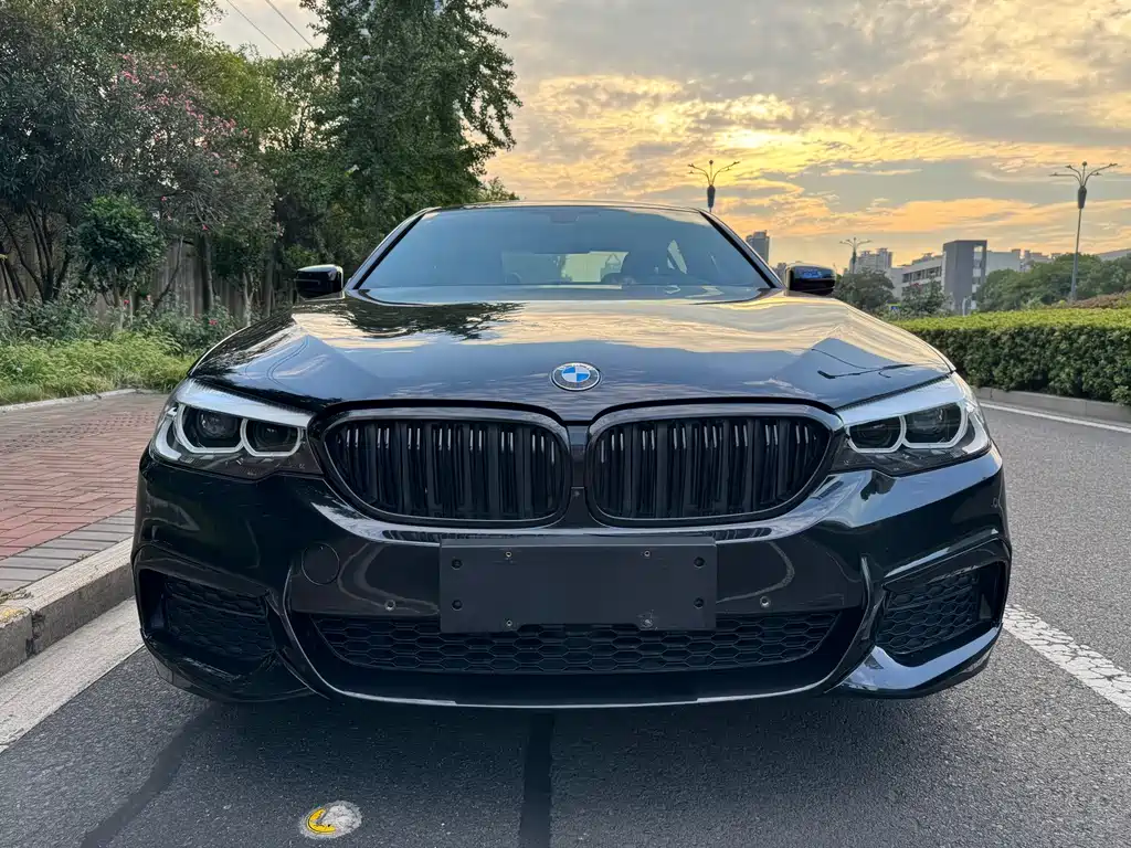BMW 5 Series 2019