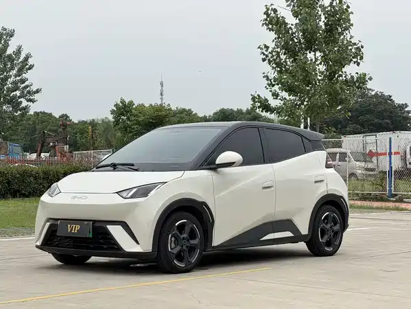 BYD Seagull 2024