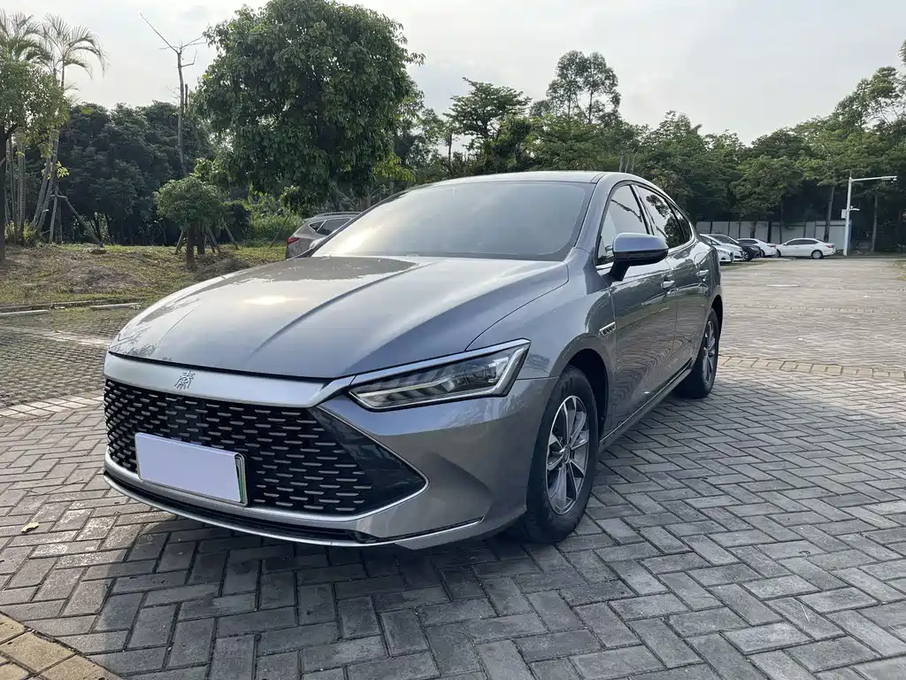 BYD Qin PLUS 2024 — фото 1