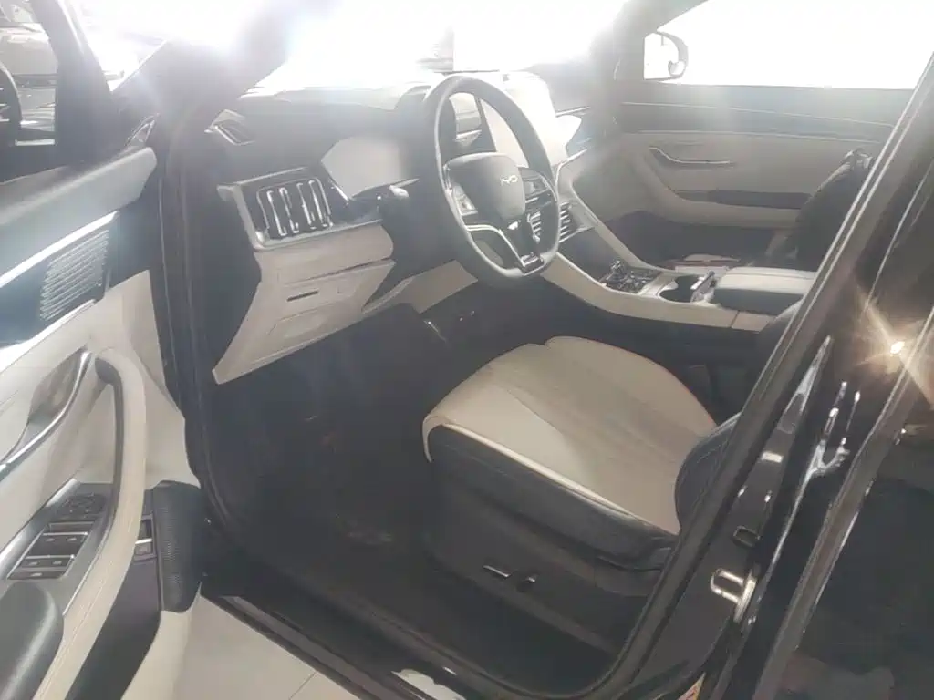 BYD Song PLUS New Energy 2024 — фото 16