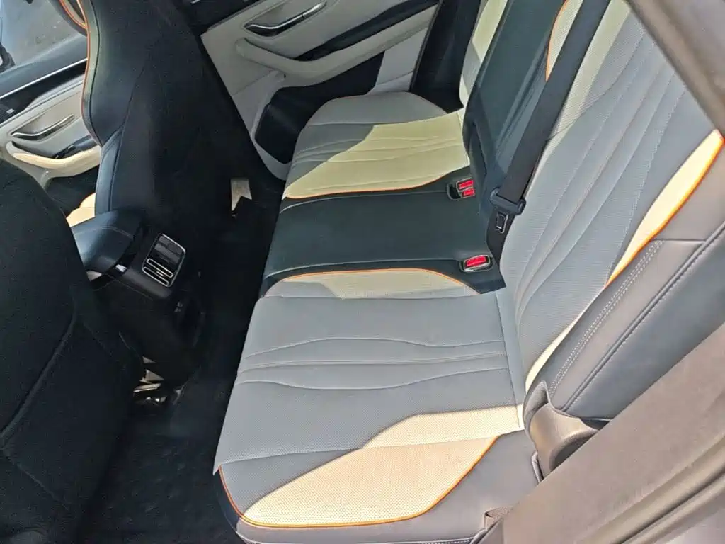 BYD PLUS New Energy 2021 — фото 17