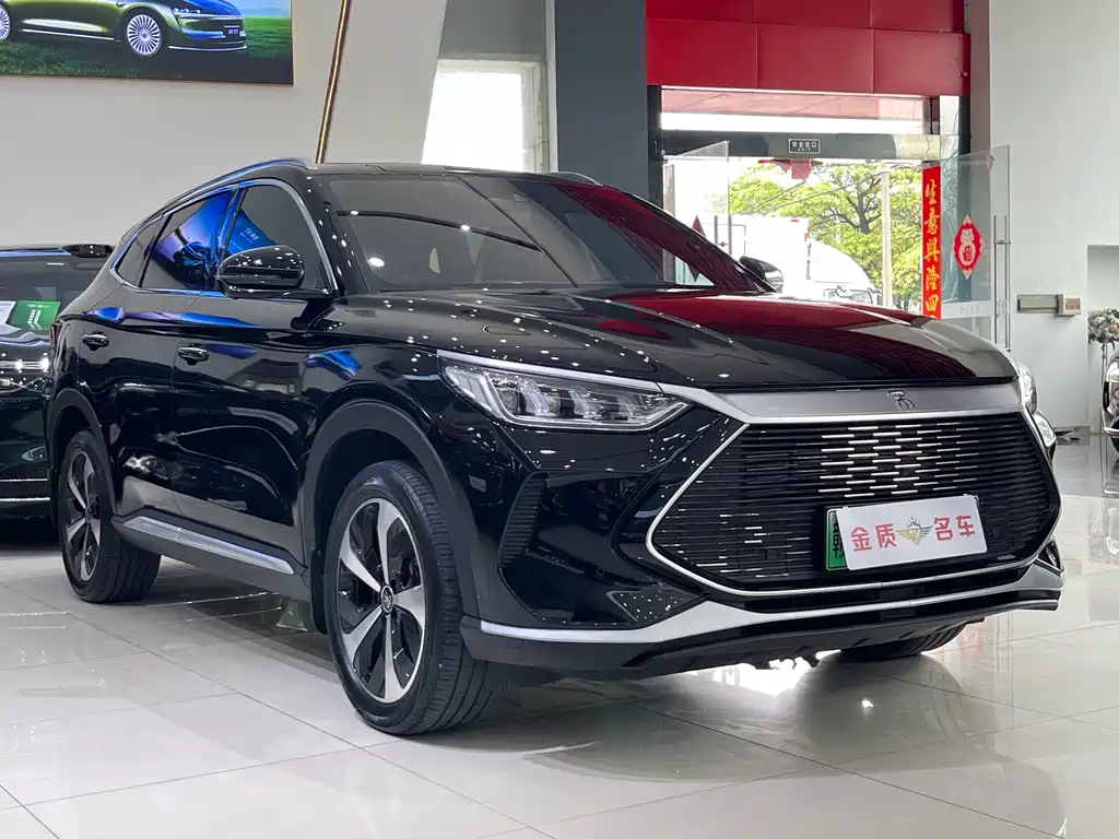 BYD PLUS New Energy 2023 — фото 3