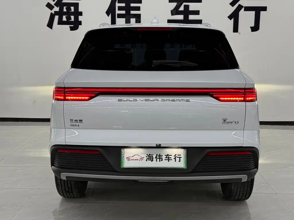 BYD Pro New Energy 2025 — фото 12