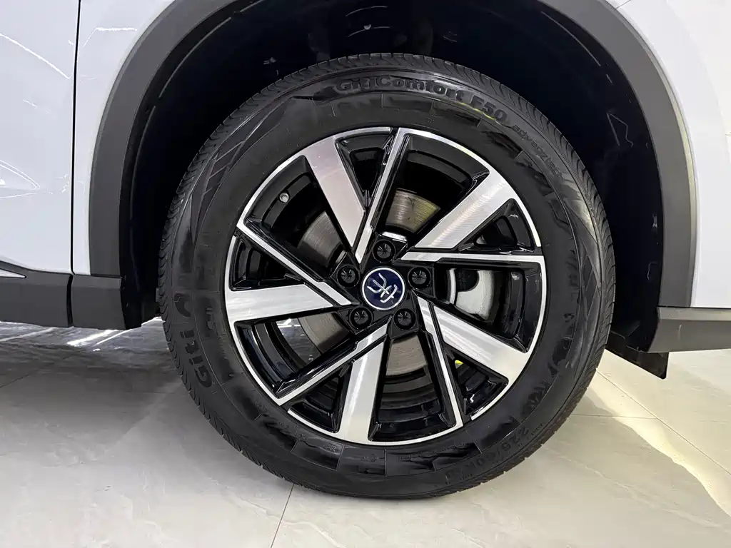 BYD Pro New Energy 2025 — фото 9