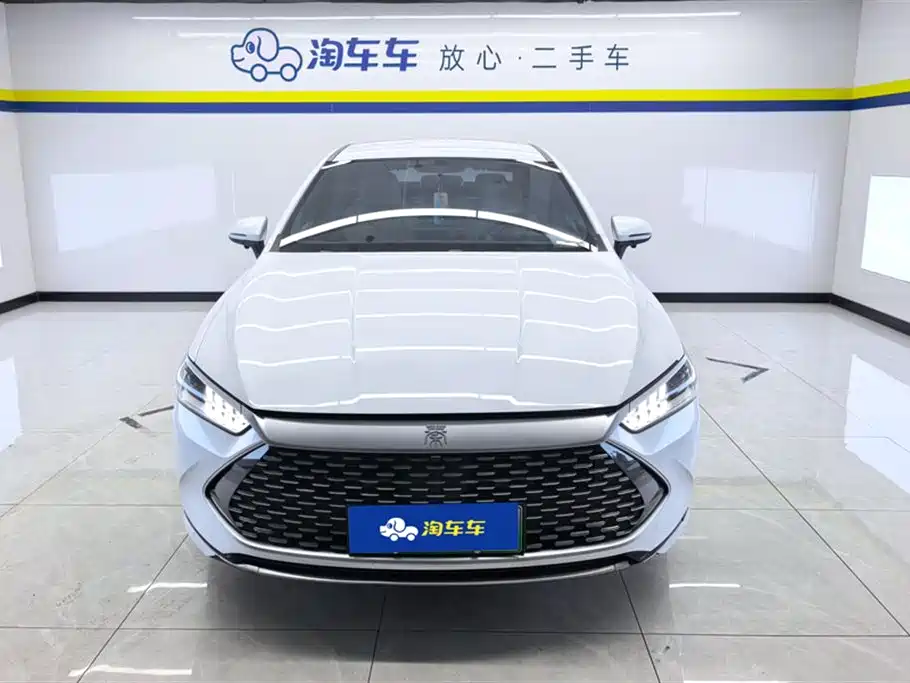 BYD Qin PLUS 2024 — фото 2