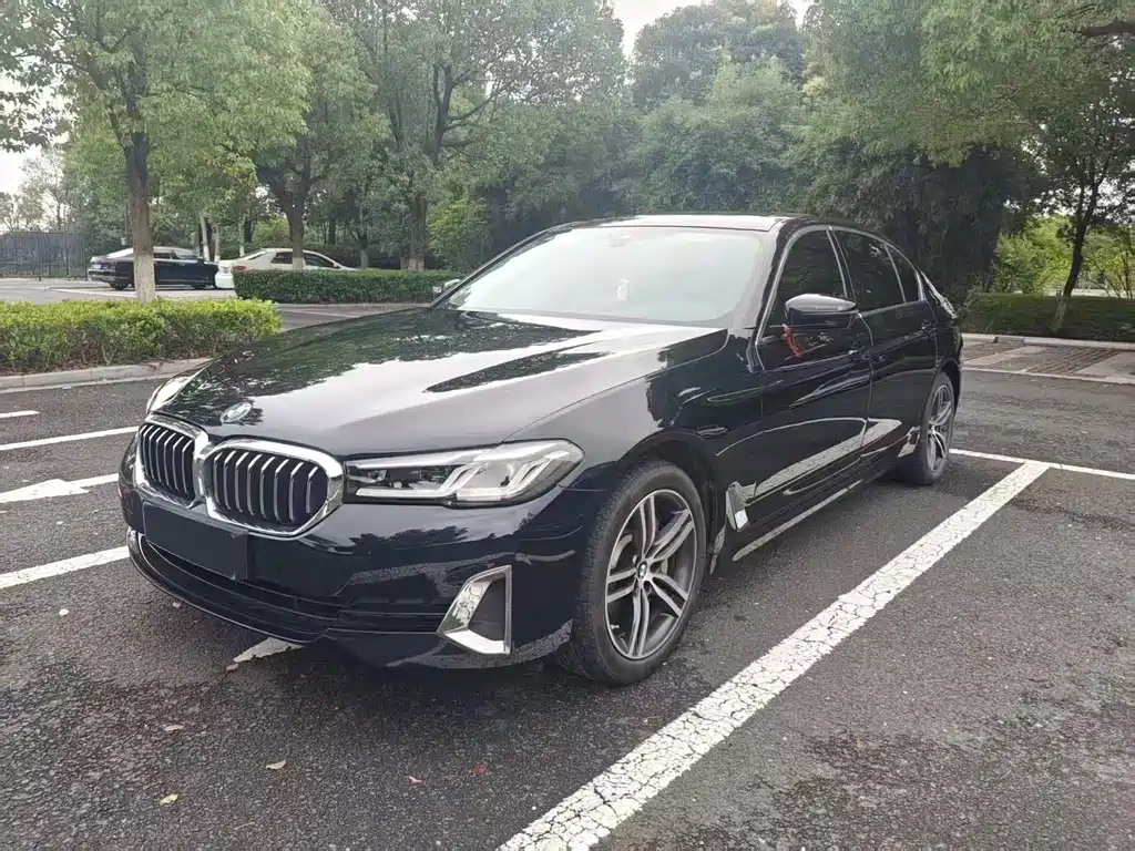 BMW 5 Series 2021