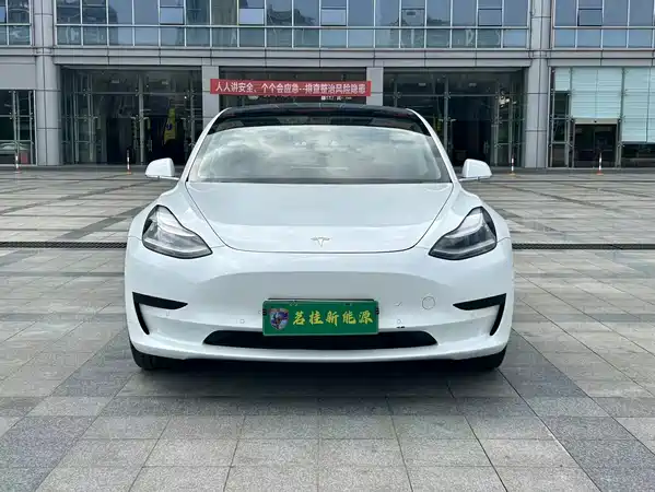 Tesla Model 3 2019
