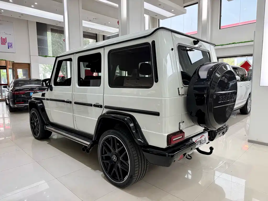 Mercedes-Benz G-Class 2010 — фото 13