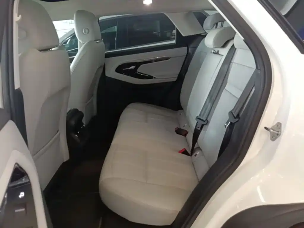 Land Rover Evoque 2020 — фото 17