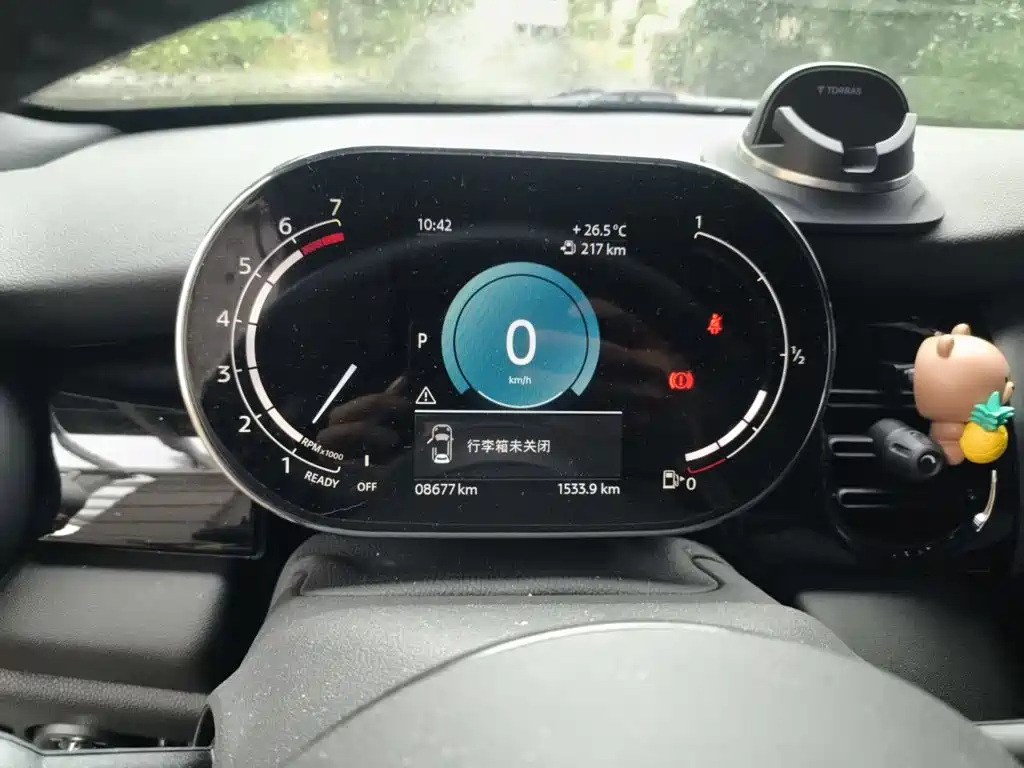 MINI MINI 2024