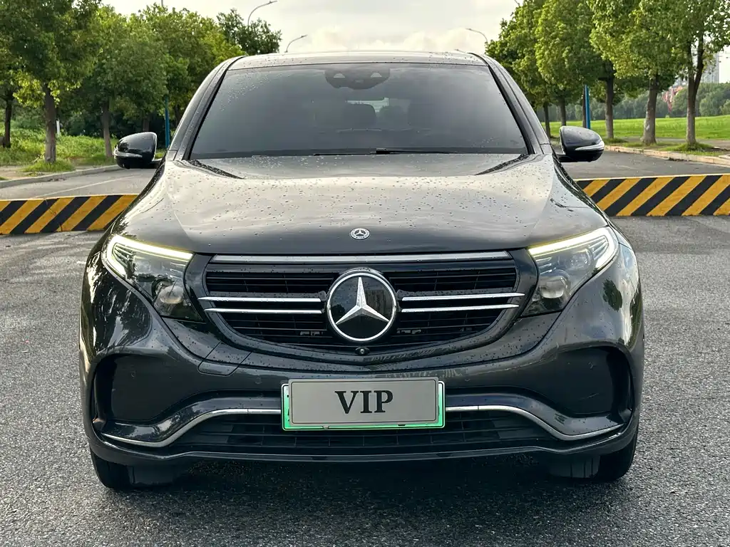 Mercedes-Benz EQC 2020 — фото 2