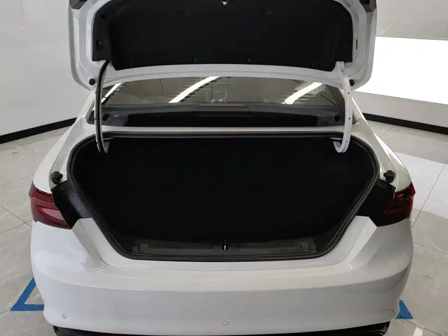 Geely Binrui 2022