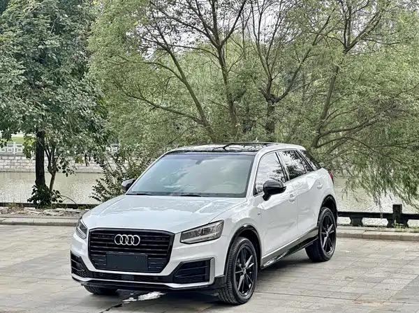 Audi Q2L 2020
