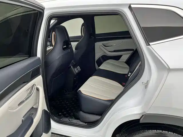 BYD PLUS New Energy 2023 — фото 21