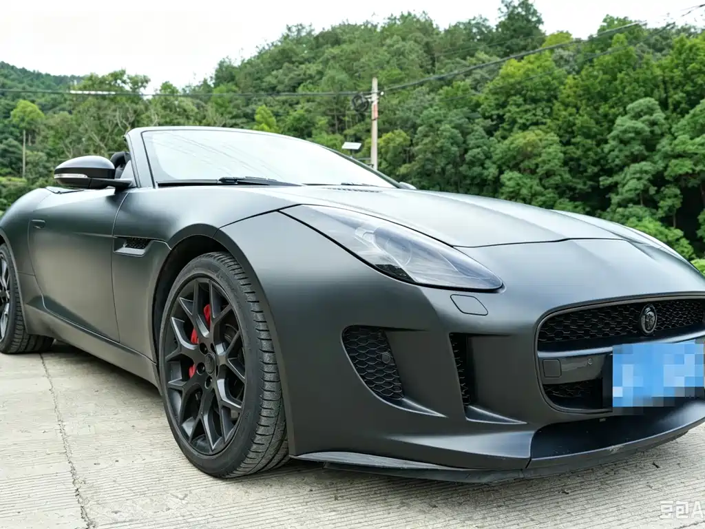 Jaguar F-TYPE 2014 — фото 3