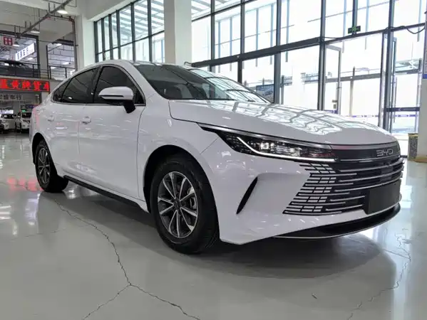 BYD Destroyer 05 2024