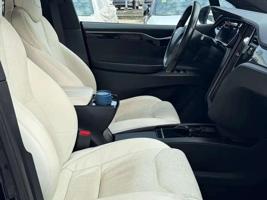 Tesla Model X 2019 — фото 15