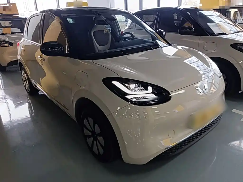 Wuling Bingo 2024