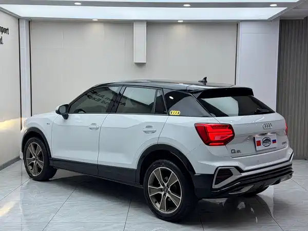Audi Q2L 2022
