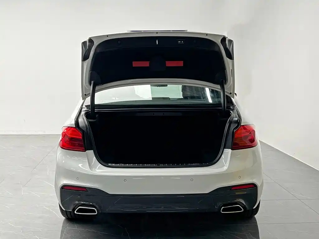 BMW 5 Series 2019 — фото 10