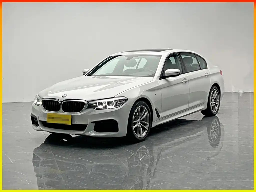 BMW 5 Series 2019