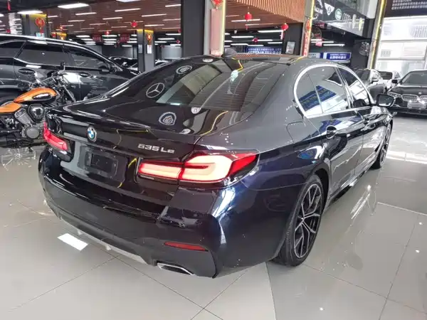 BMW 5 Series New Energy 2021