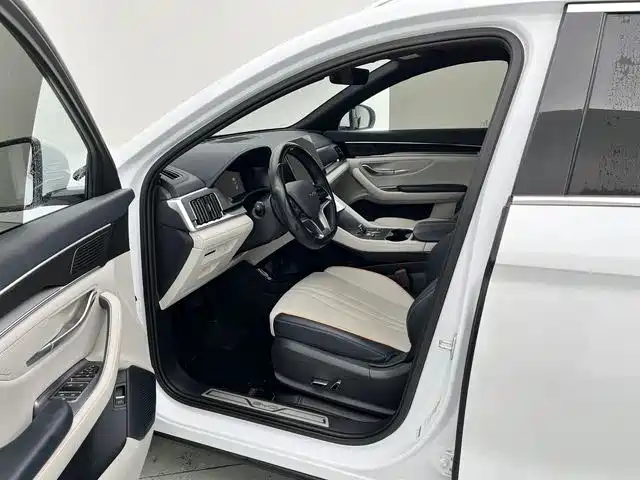 BYD PLUS New Energy 2023 — фото 25