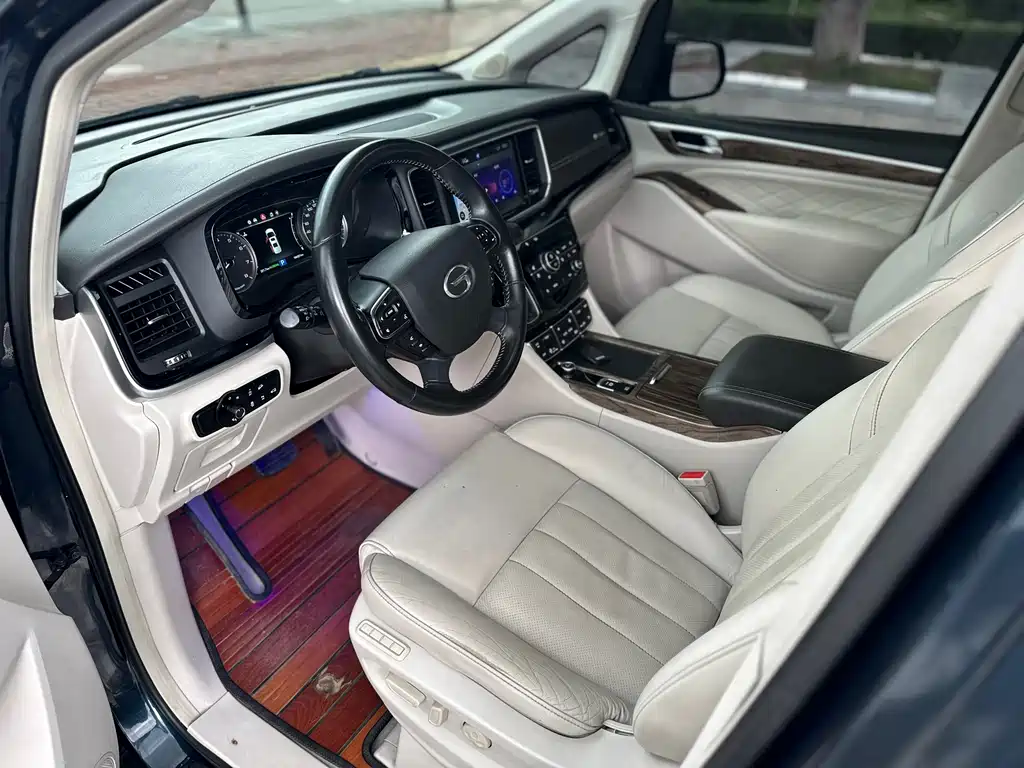 GAC Trumpchi M8 2020 — фото 11