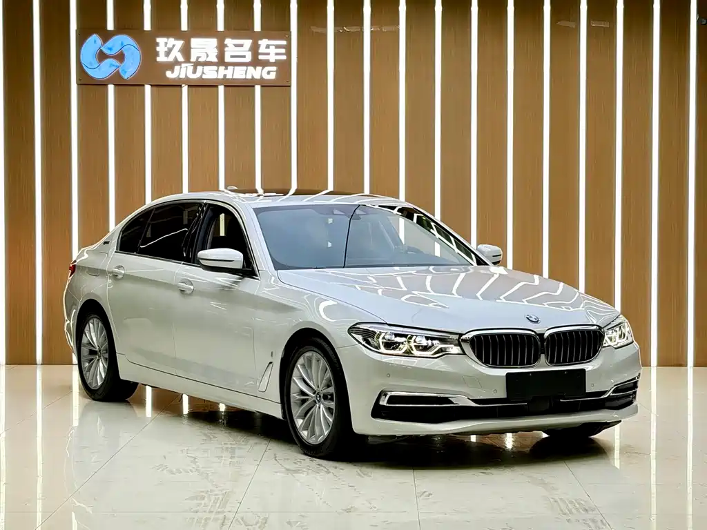 BMW 5 Series New Energy 2019